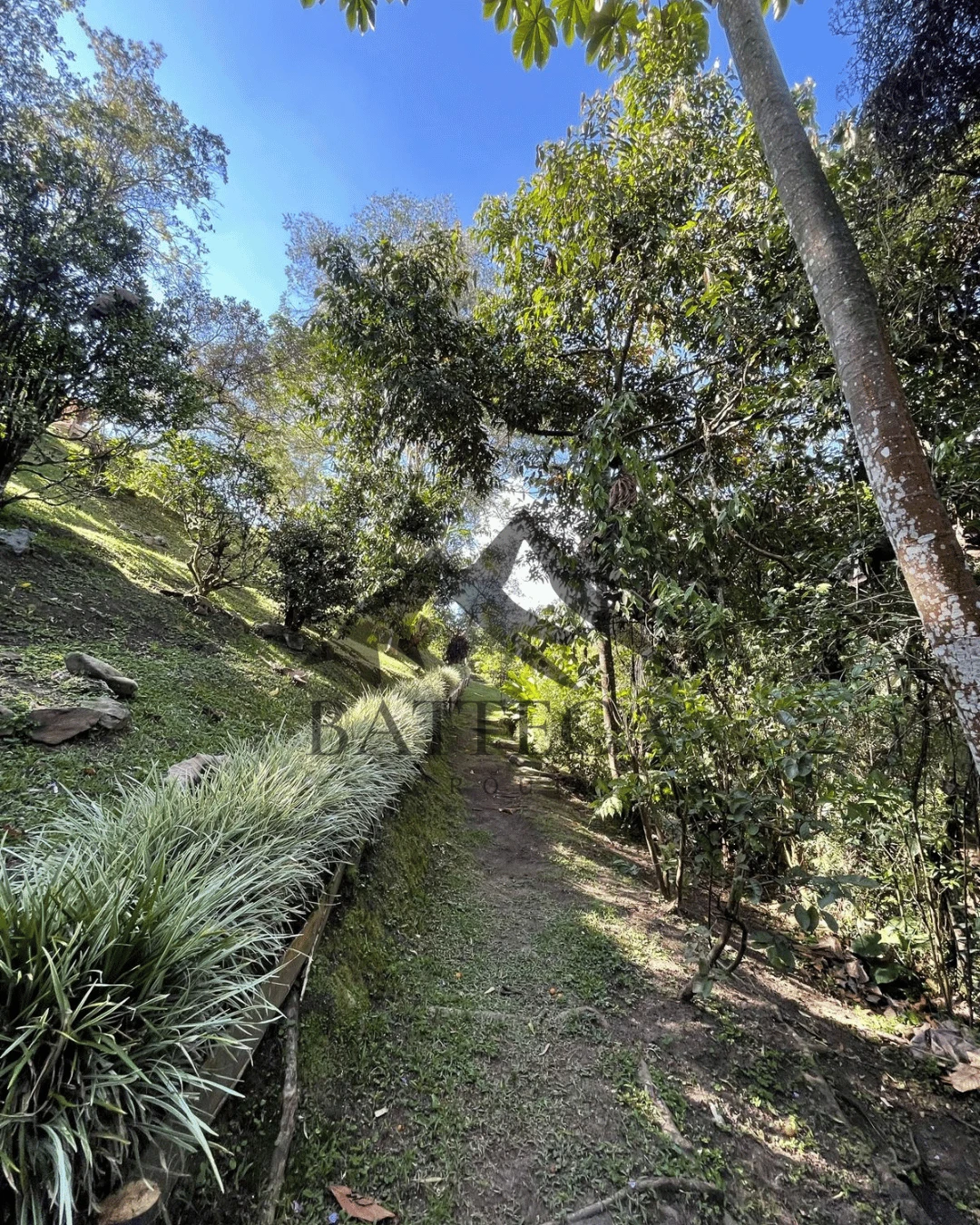 Hermosa finca  - Imagen 9