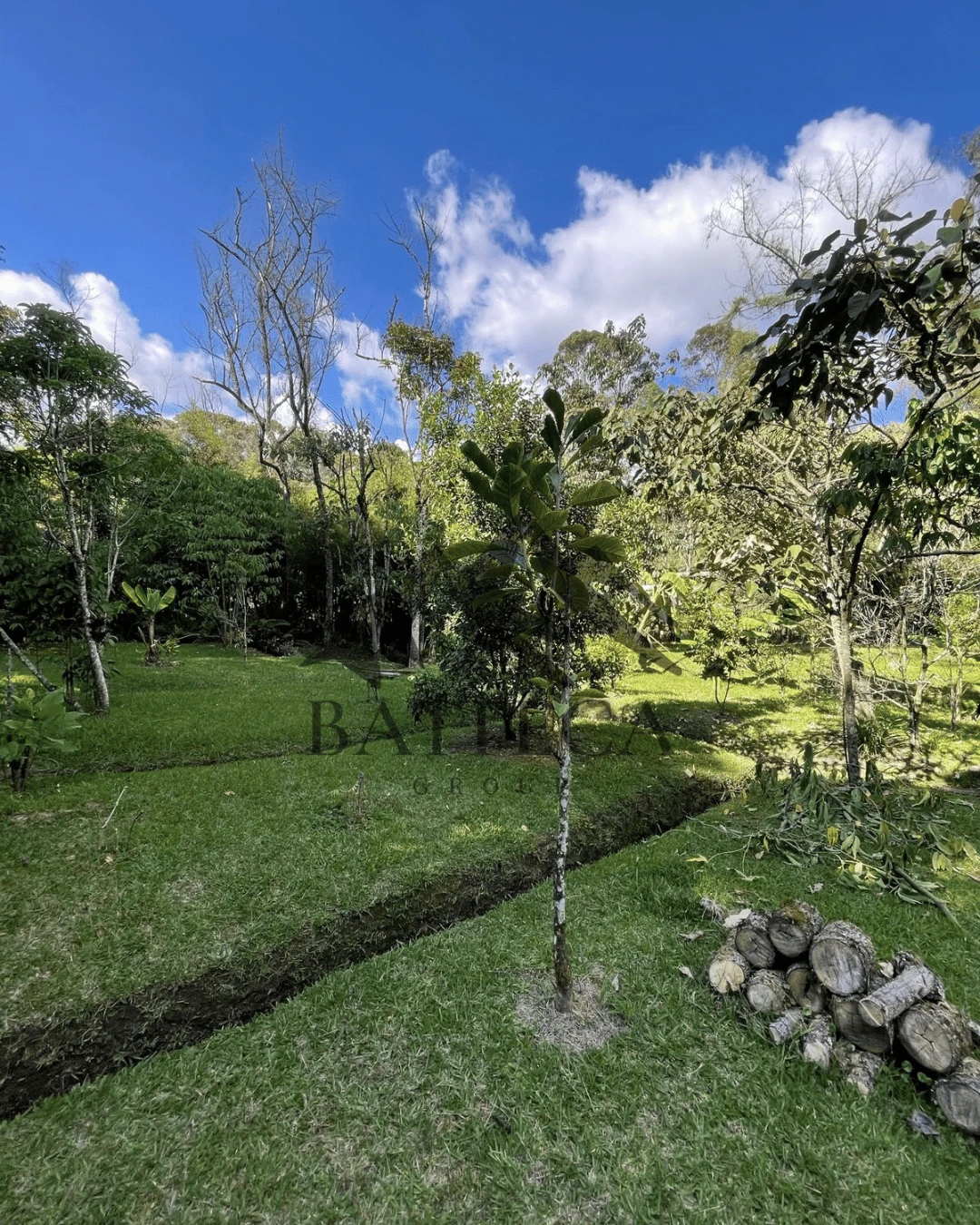 Hermosa finca  - Imagen 10