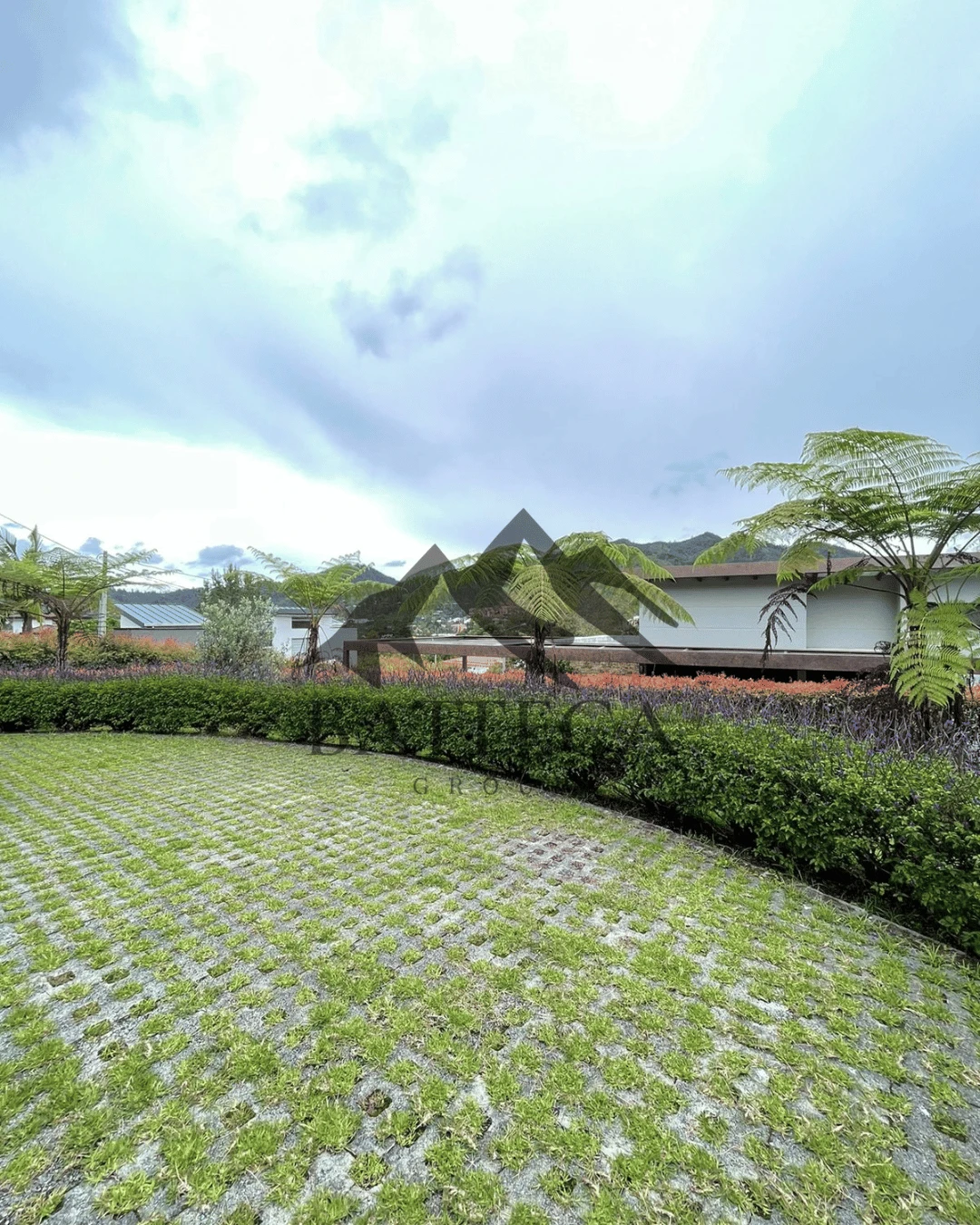 Finca en parcelación - Imagen 2