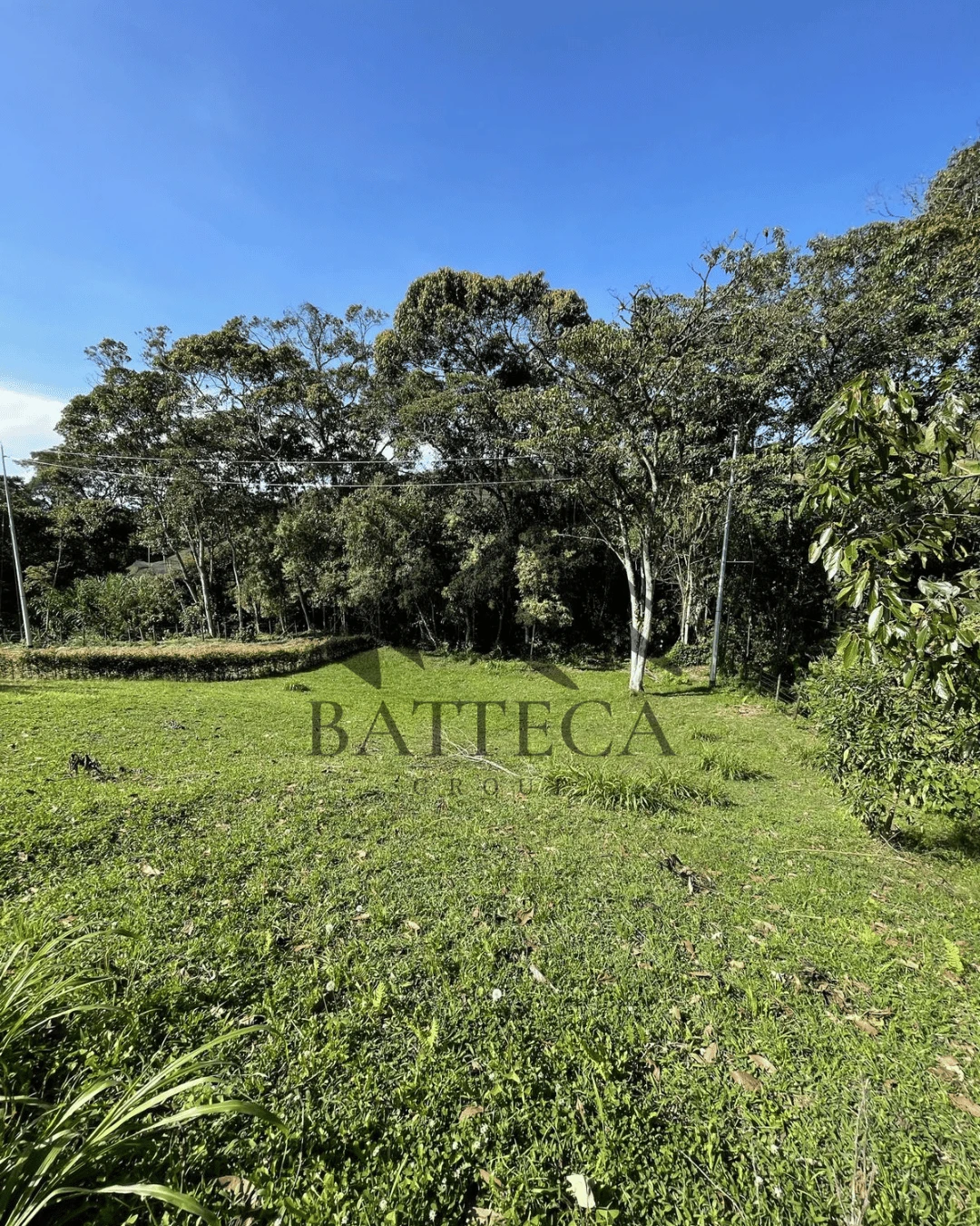 Lote en exclusiva parcelación - Imagen 6