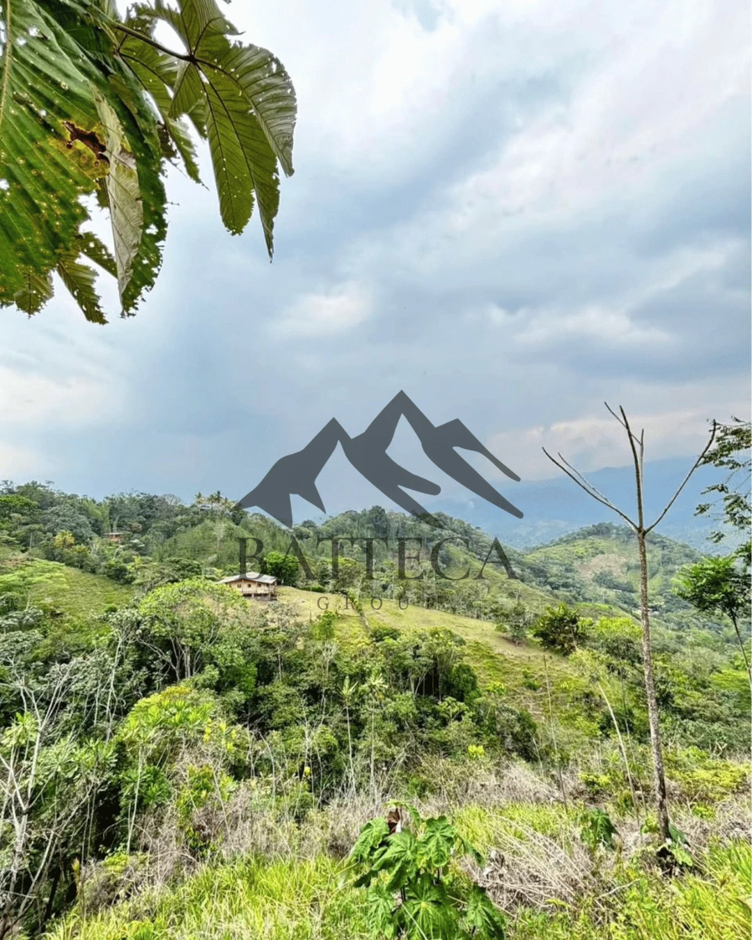 Lote campestre  - Imagen 3