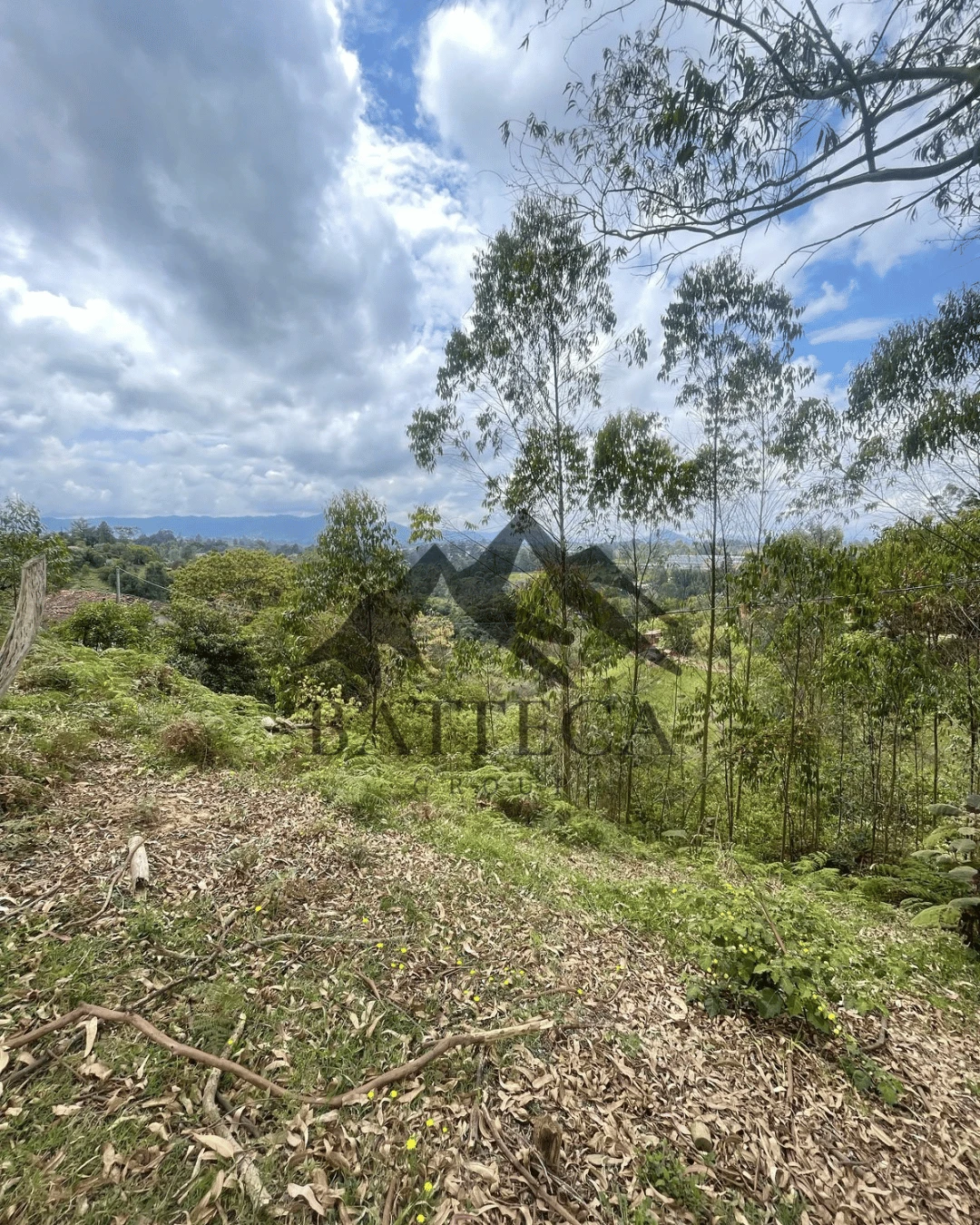 Lote de 5 hectáreas  - Imagen 4