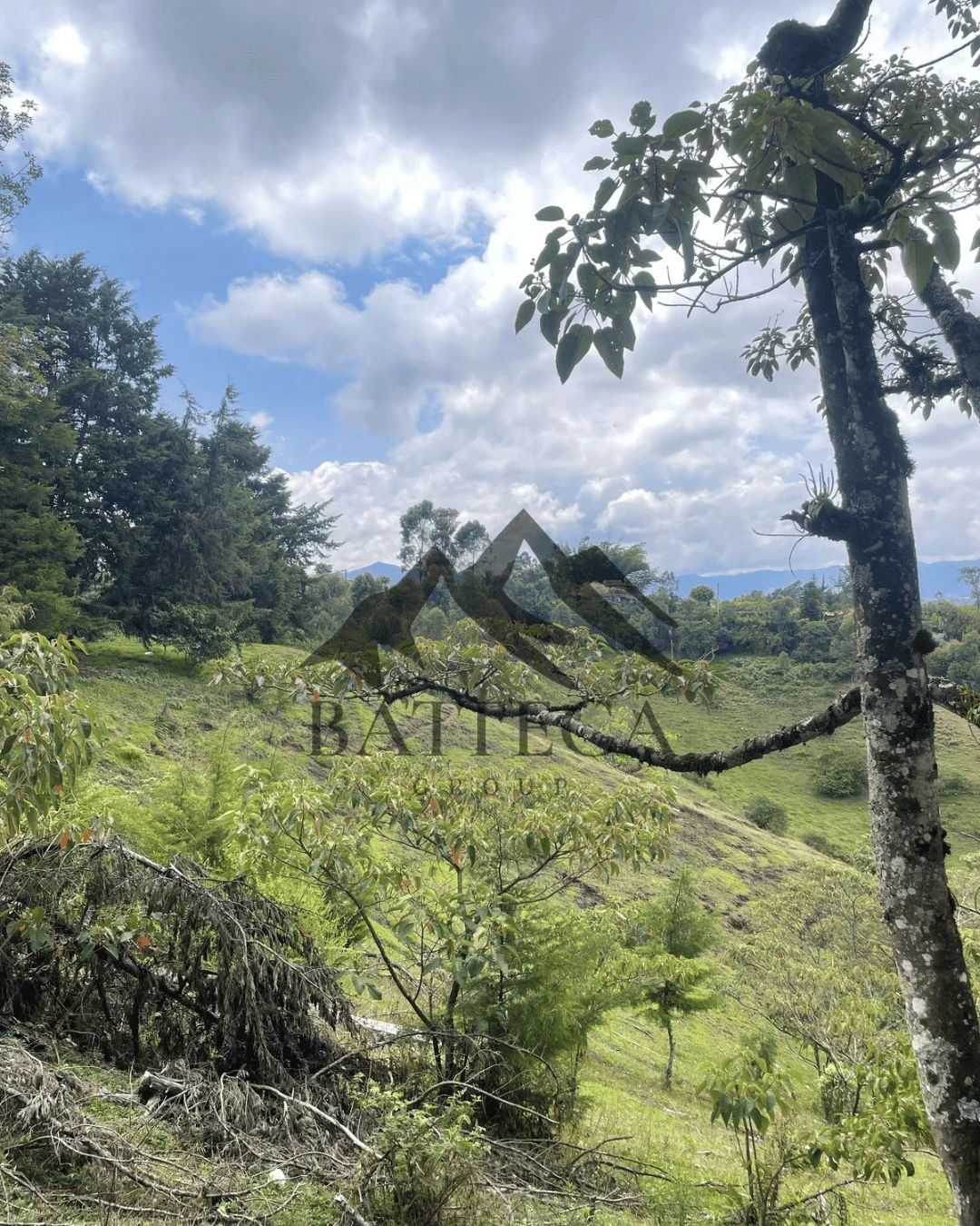 Lote de 5 hectáreas  - Imagen 5