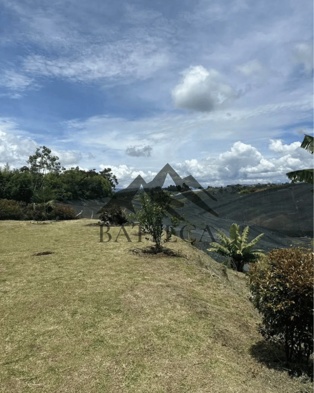 Hermosa finca  - Imagen 3