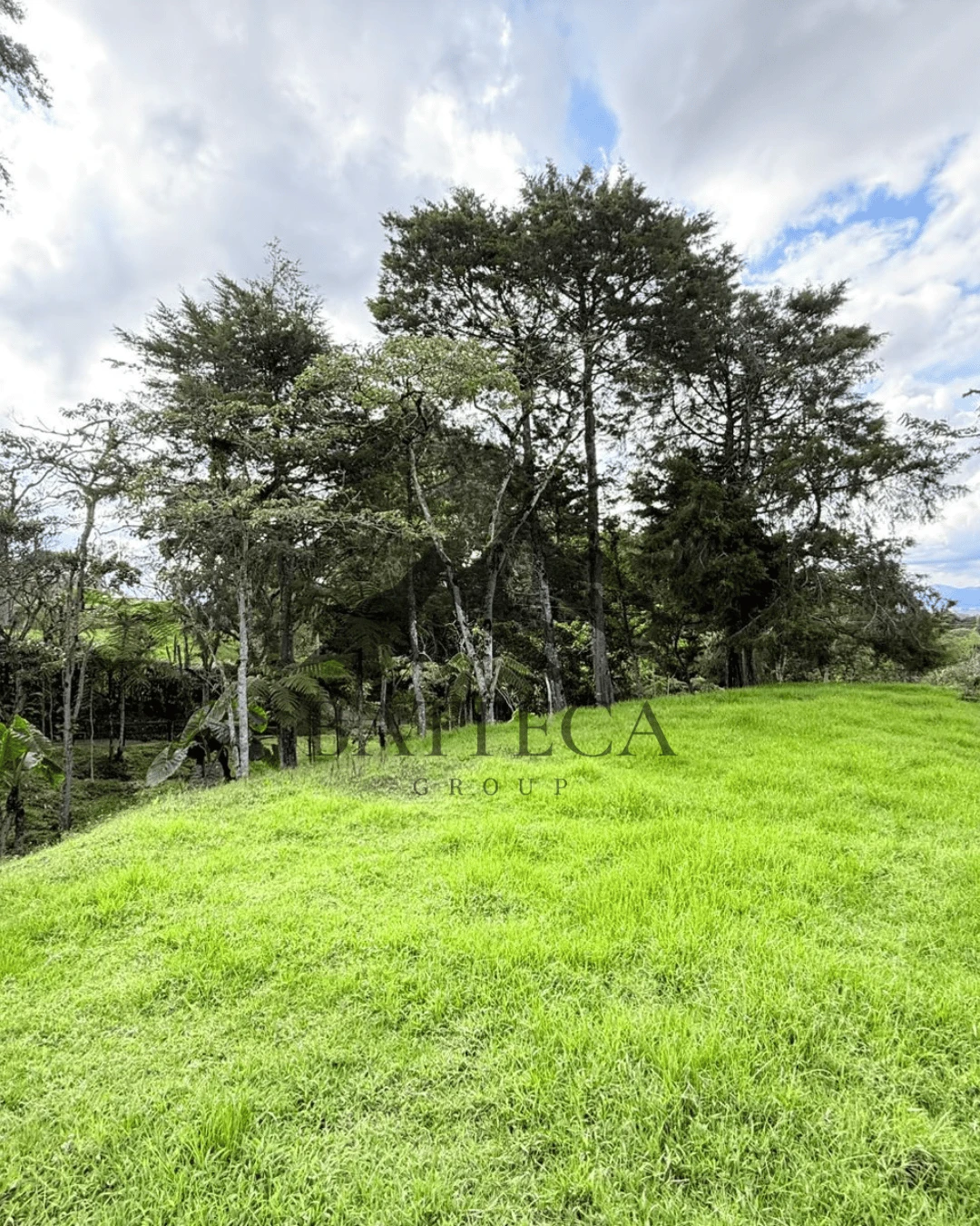 Lote campestre - Imagen 5