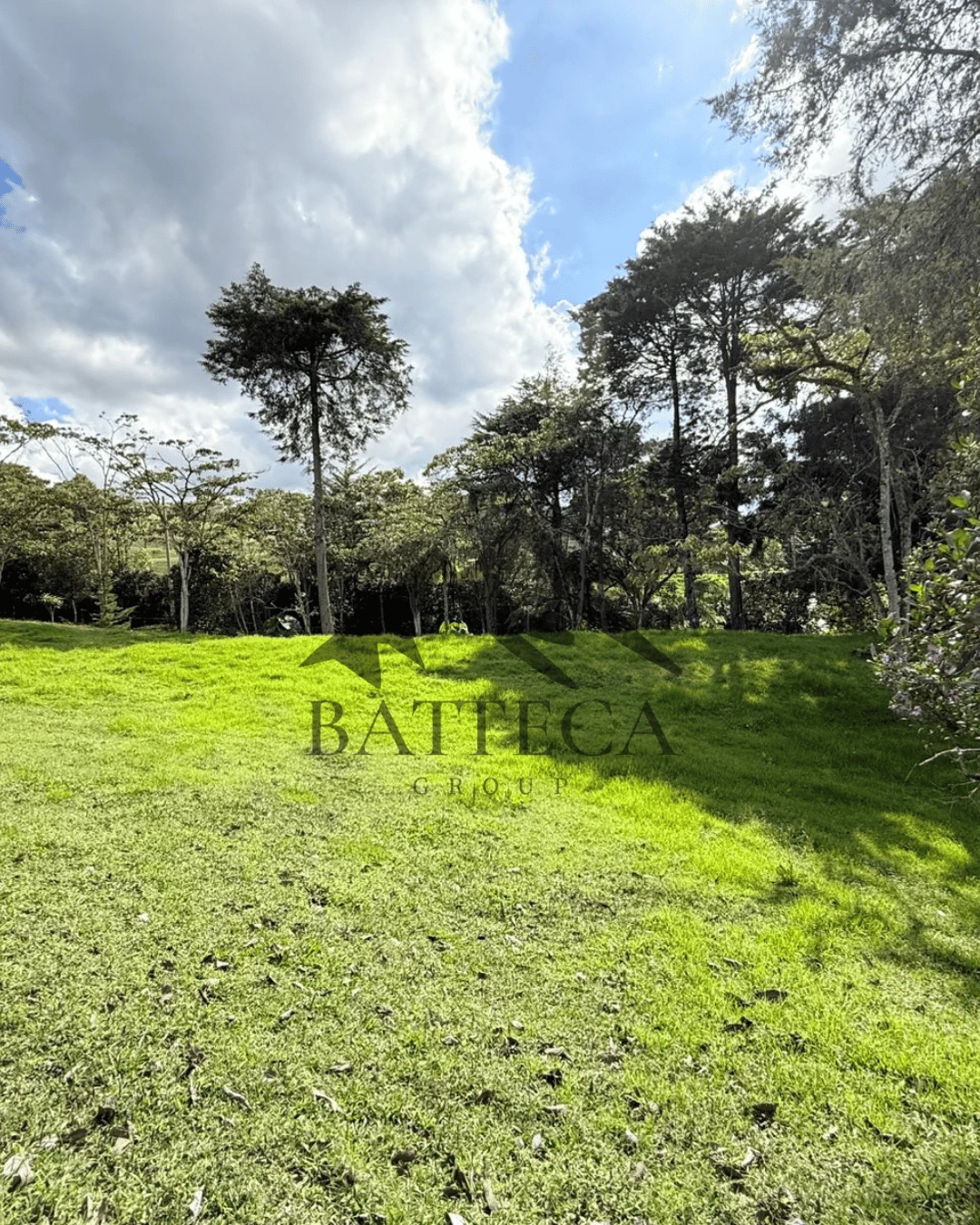 Lote campestre - Imagen 3