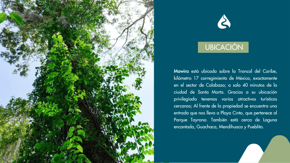 Mawira condominio & eco-hotel - Imagen 10