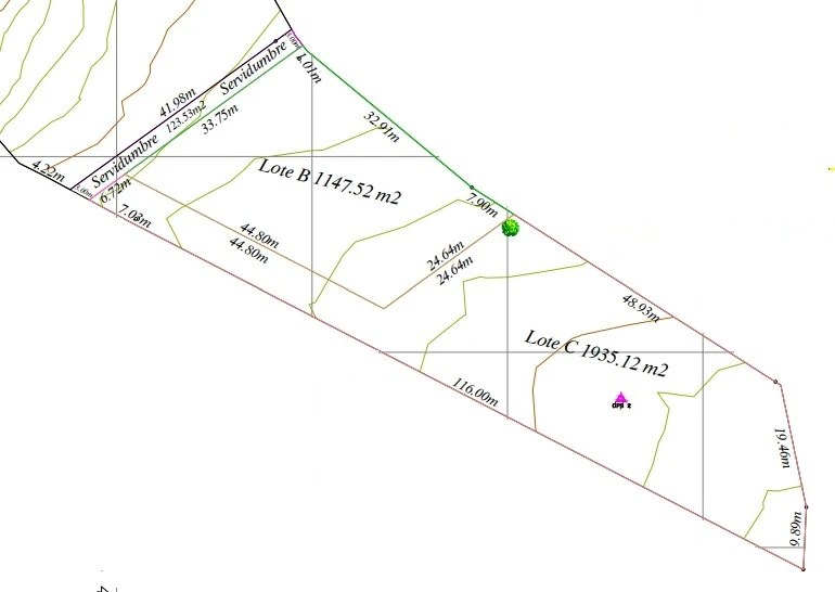 Se Vende Lote Plano en el Carmen de Apical con escritura Publica Independiente - Imagen 10