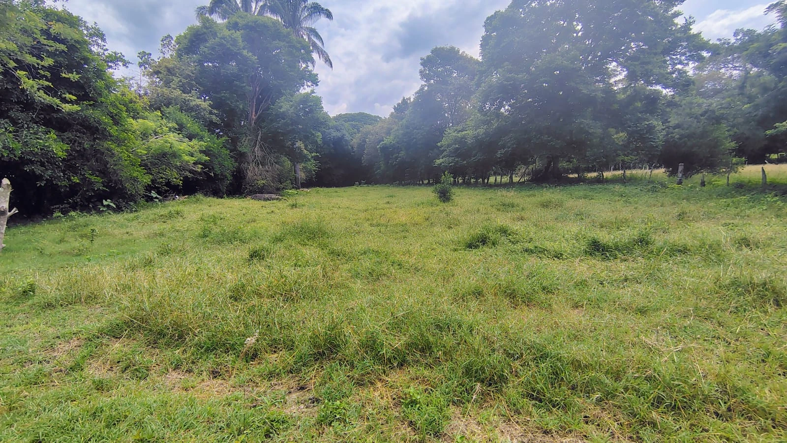 Se vende lote plano con escritura independiente en El Carmen de Apicala - Imagen 2