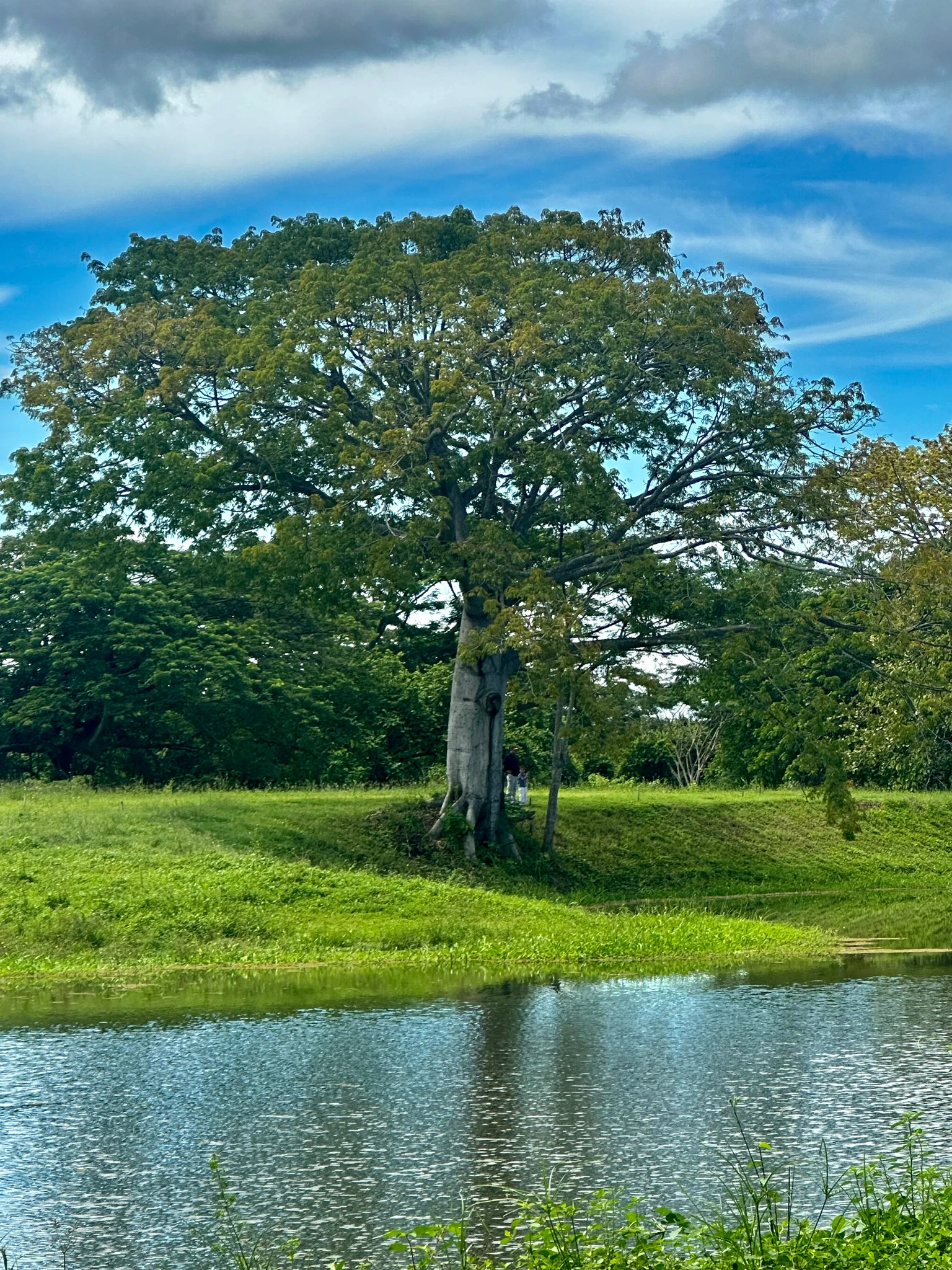 🏡 Lote campestre de 1.000 m² en venta – Condominio Campestre La Zona | Vive rodeado de naturaleza - Imagen 2