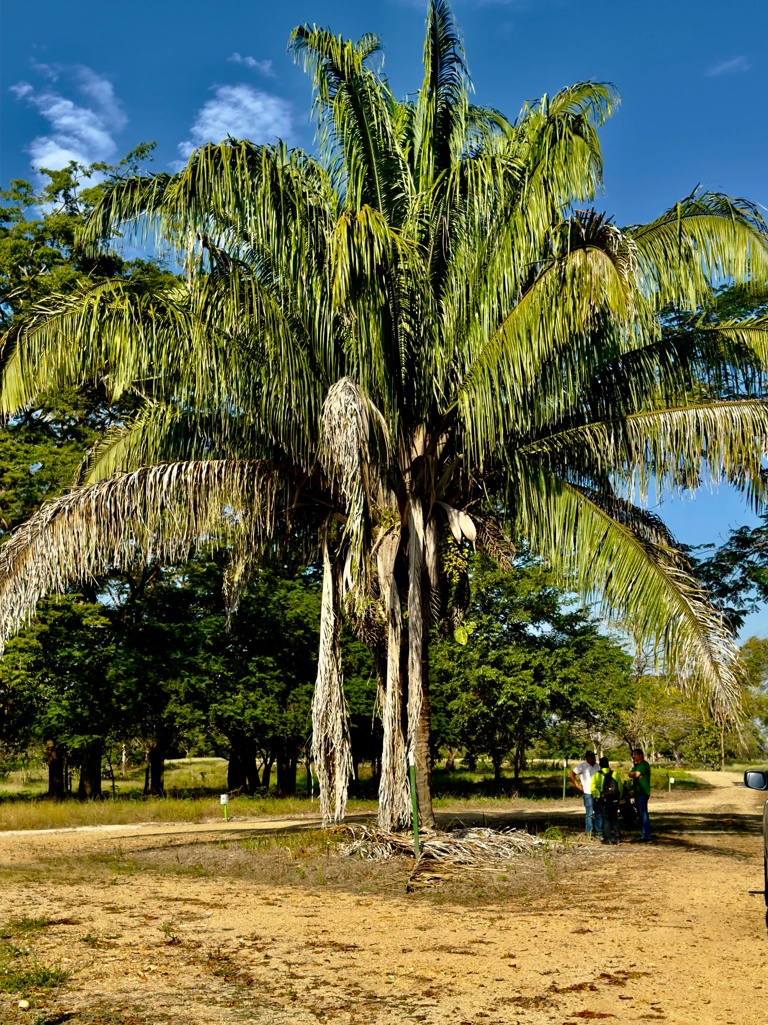 🏡 Lote campestre de 1.000 m² en venta – Condominio Campestre La Zona | Vive rodeado de naturaleza - Imagen 18
