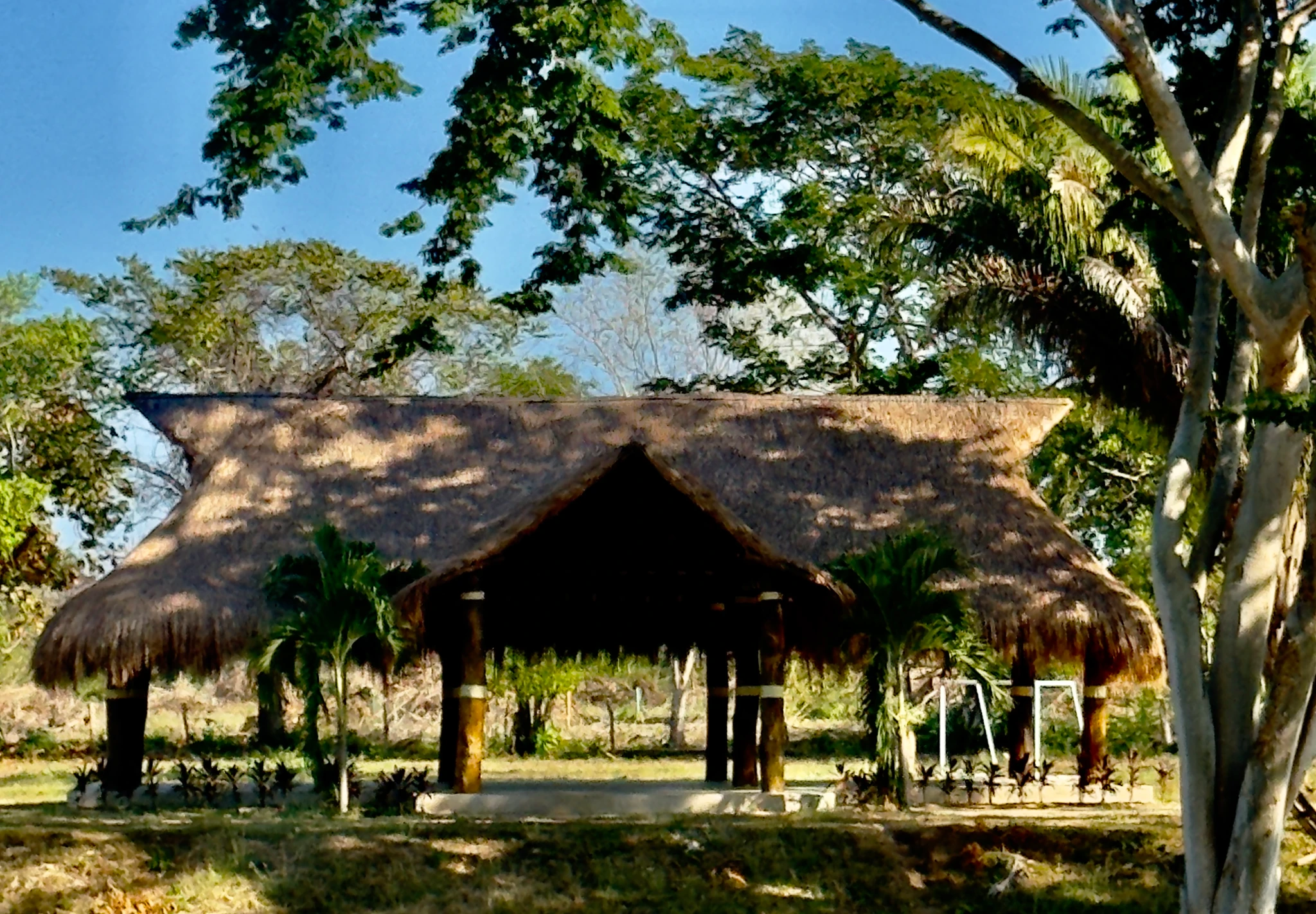 🏡 Lote campestre de 1.000 m² en venta – Condominio Campestre La Zona | Vive rodeado de naturaleza - Imagen 5