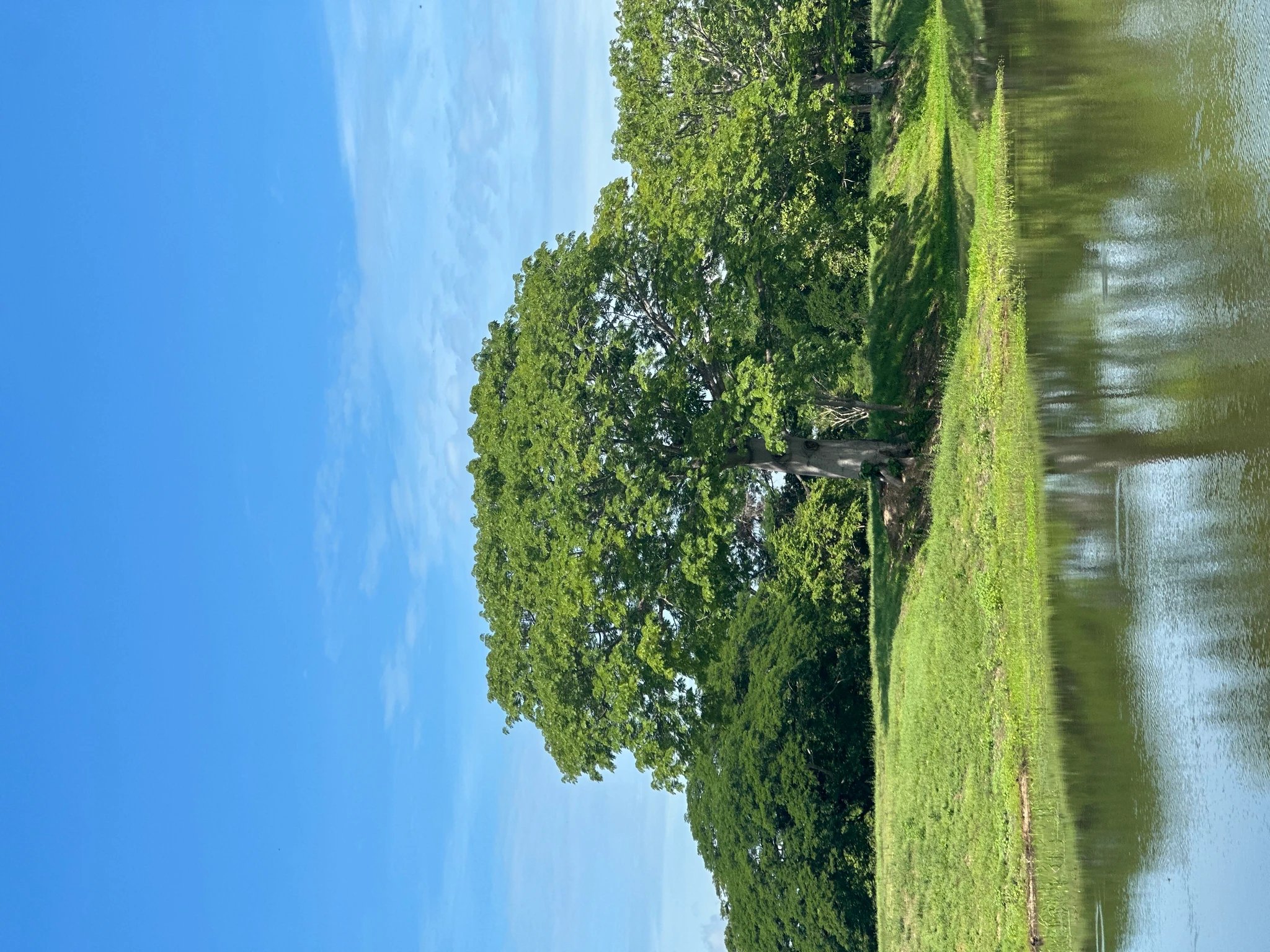 🏡 Lote campestre de 1.000 m² en venta – Condominio Campestre La Zona | Vive rodeado de naturaleza - Imagen 12