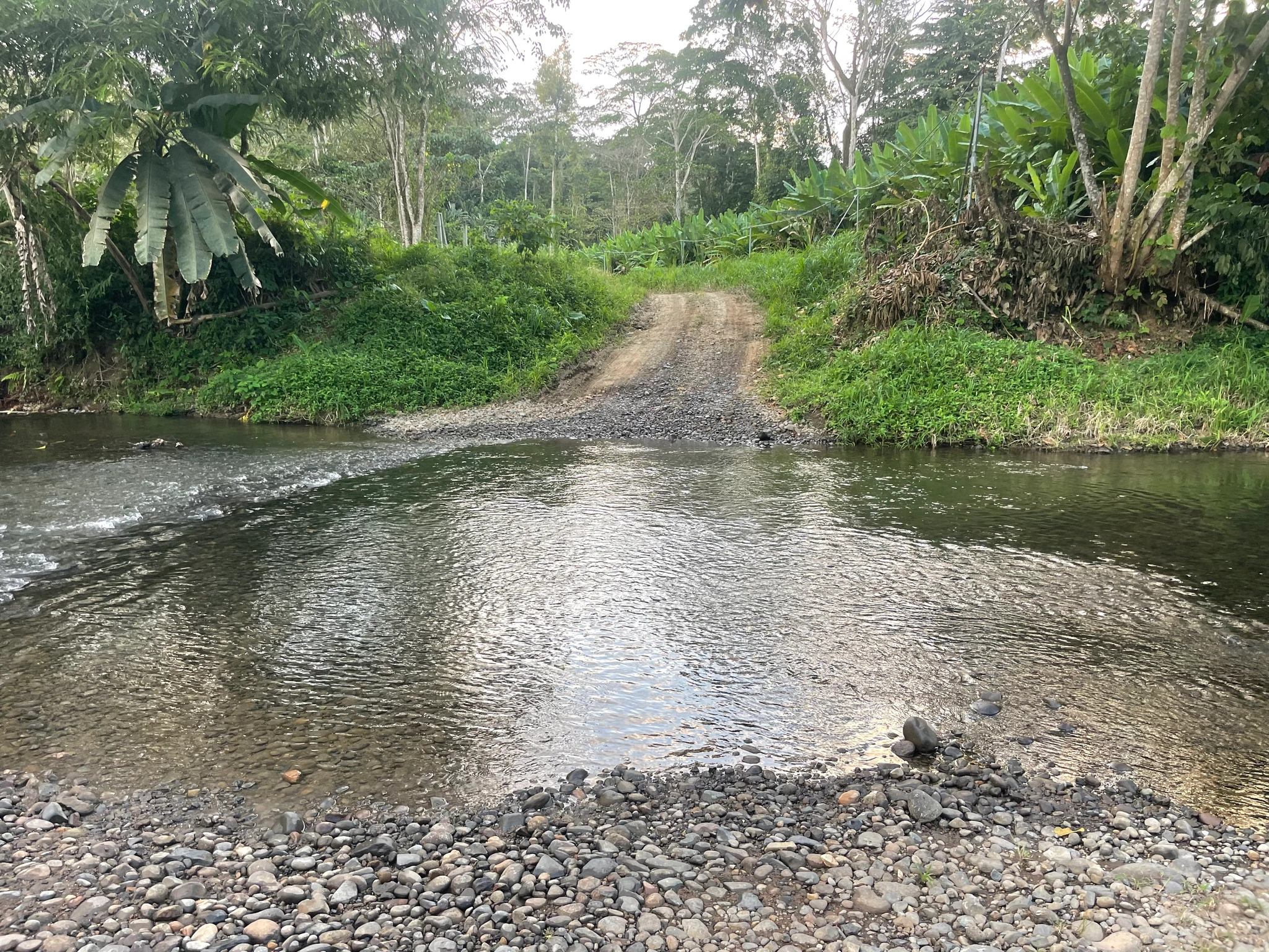 Quintas en Cahuita