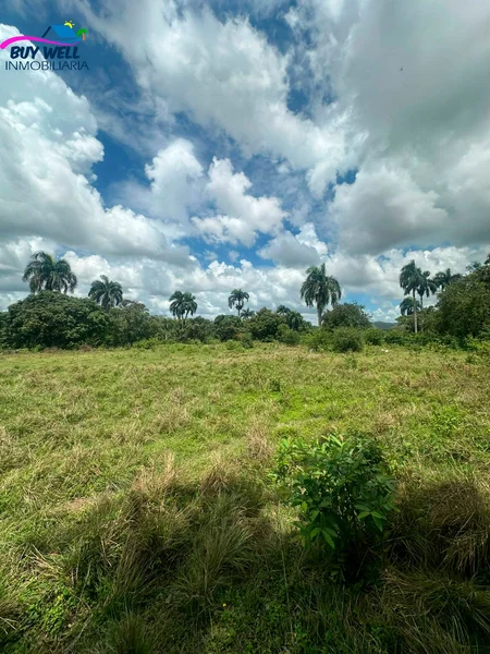 Terreno, ubicado en la 6 de noviembre San Cristóbal. 
