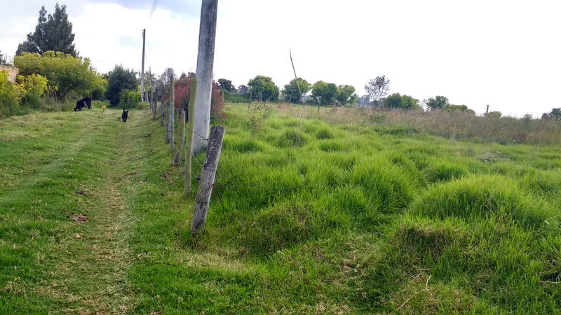 VENDO LOTE SOBRE - AUTOPISTA CALLE 80 