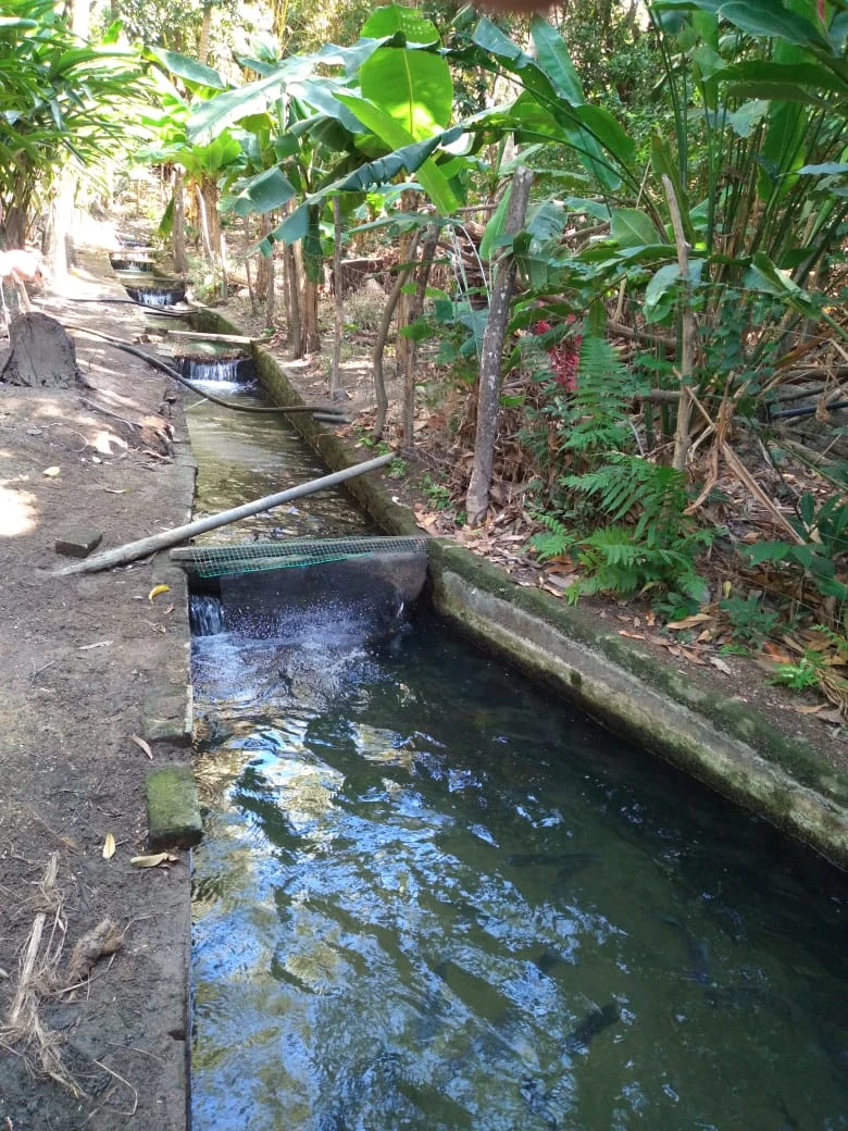 🌿 FINCA EL OJO DE AGUA | UNA PROPIEDAD ÚNICA EN BONDA, SANTA MARTA