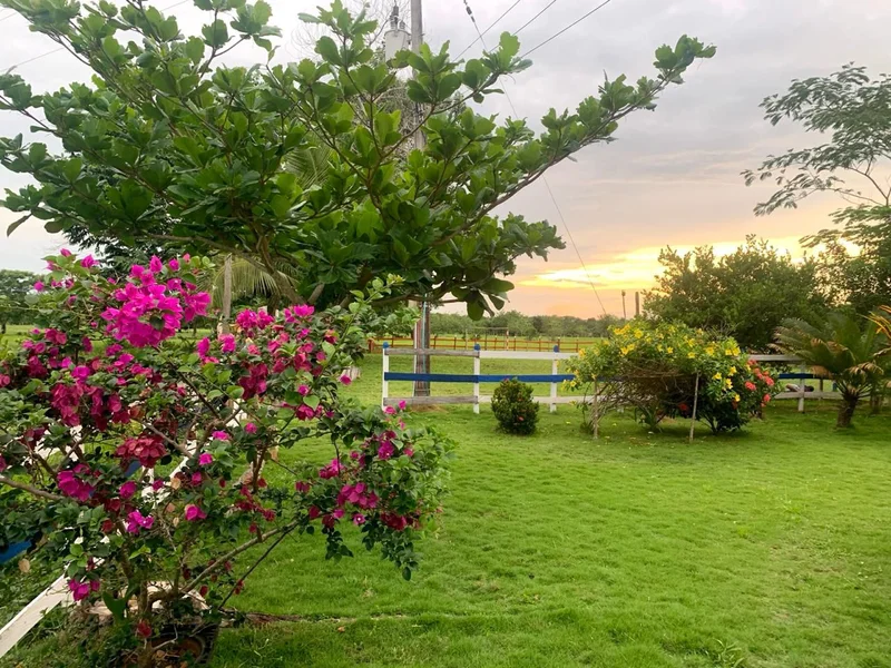 Hermosa finca en la vereda el venado municipio de Valencia Córdoba cuenta con casa finca