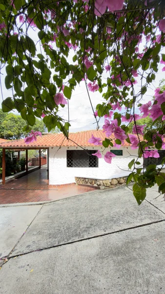 🏠 CASA EN VENTA | URBANIZACIÓN LAS TERRAZAS | EL RODADERO